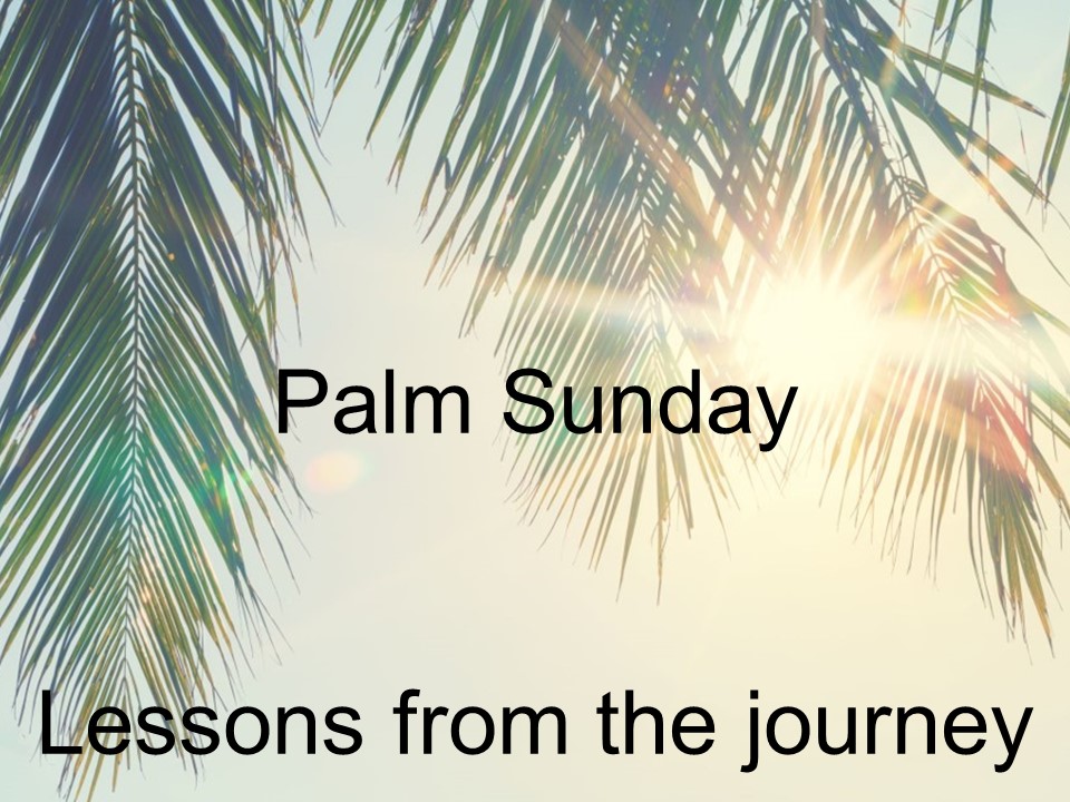 Sermon: Palm Sunday 2024